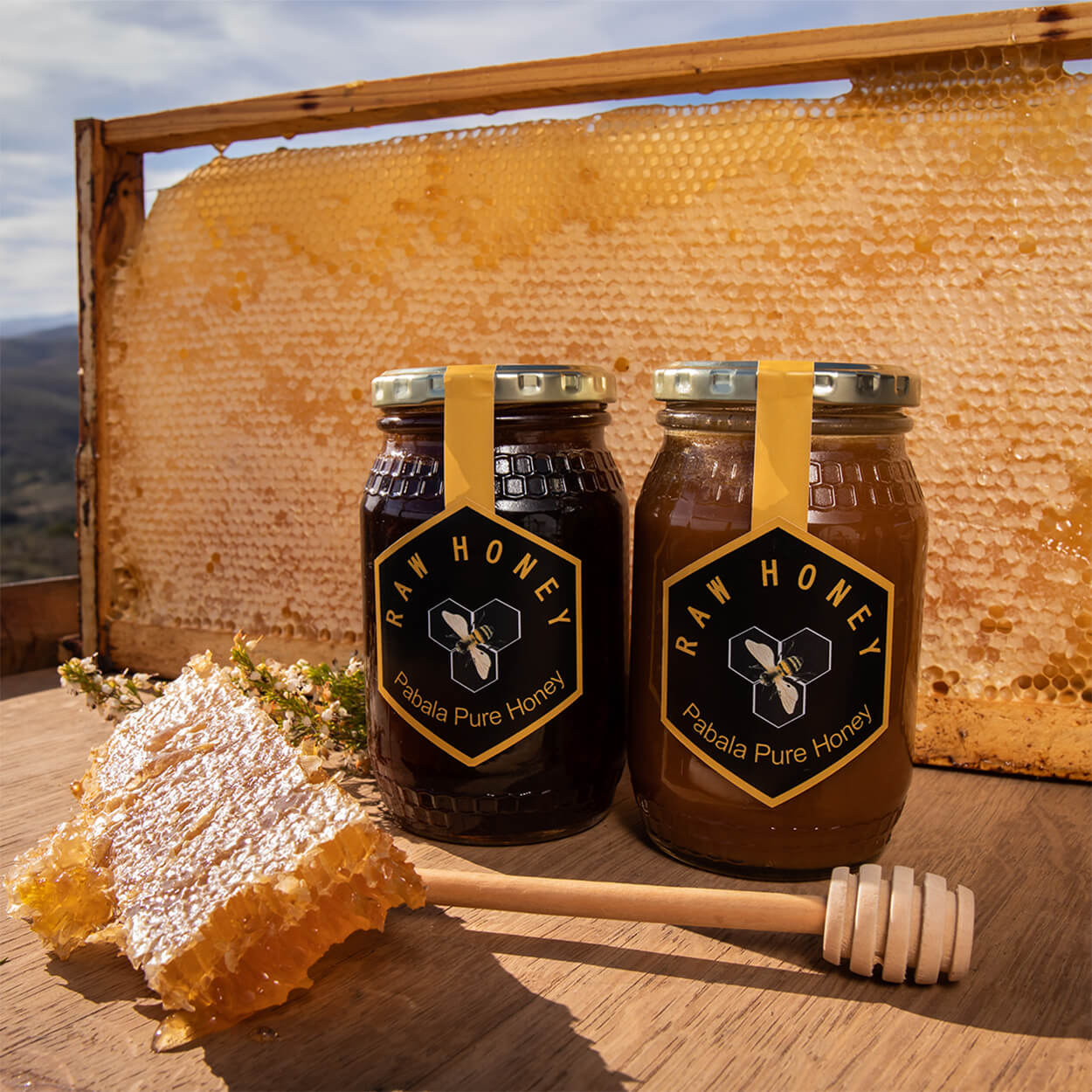 Pabala Pure Honey (500g)
